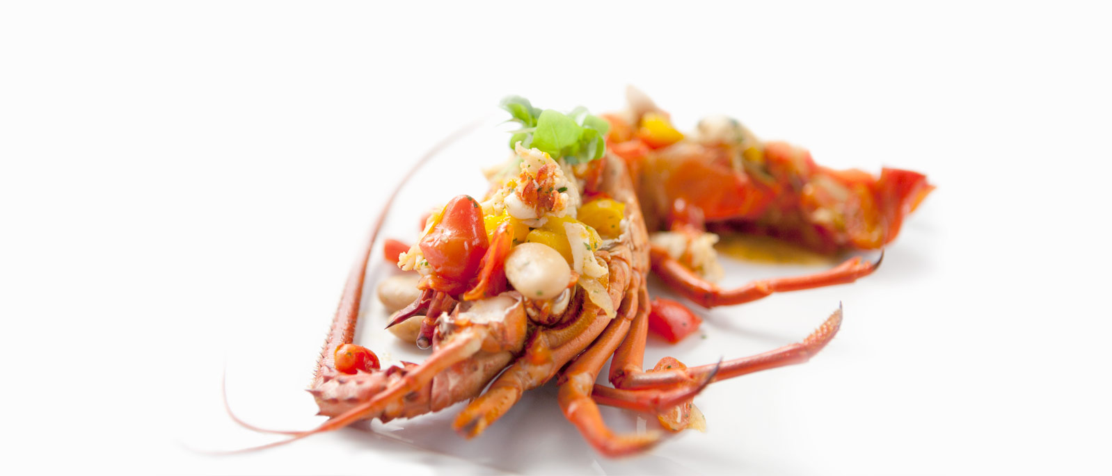 culinaire_documentaire_chefs